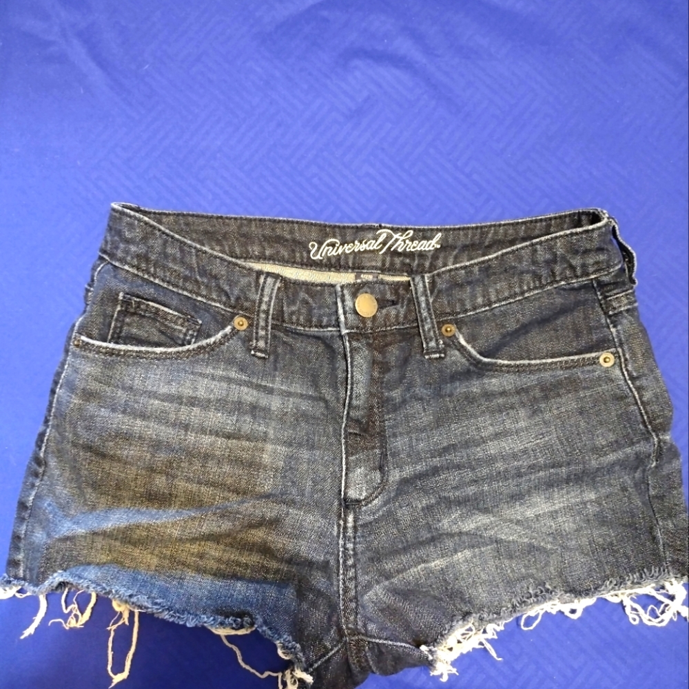 Sexy Denim Daisy Duke Shorts Summer/Spring